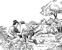 35.gif (19752 �r?)