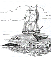 36.gif (19654 �ֽ�)