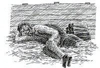 37.gif (24019 �r?)