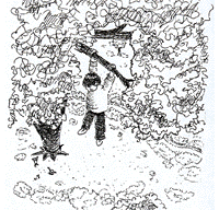 42.gif (27750 �r�`)