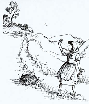 2.jpg (31471 �r�`)